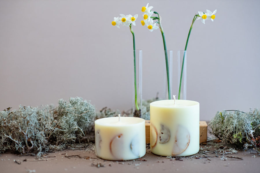 Handmade Vanilla Scented Candle with Citrus Decor - Cozy & Elegant Burn by TL Candles at www.brixbailey.com