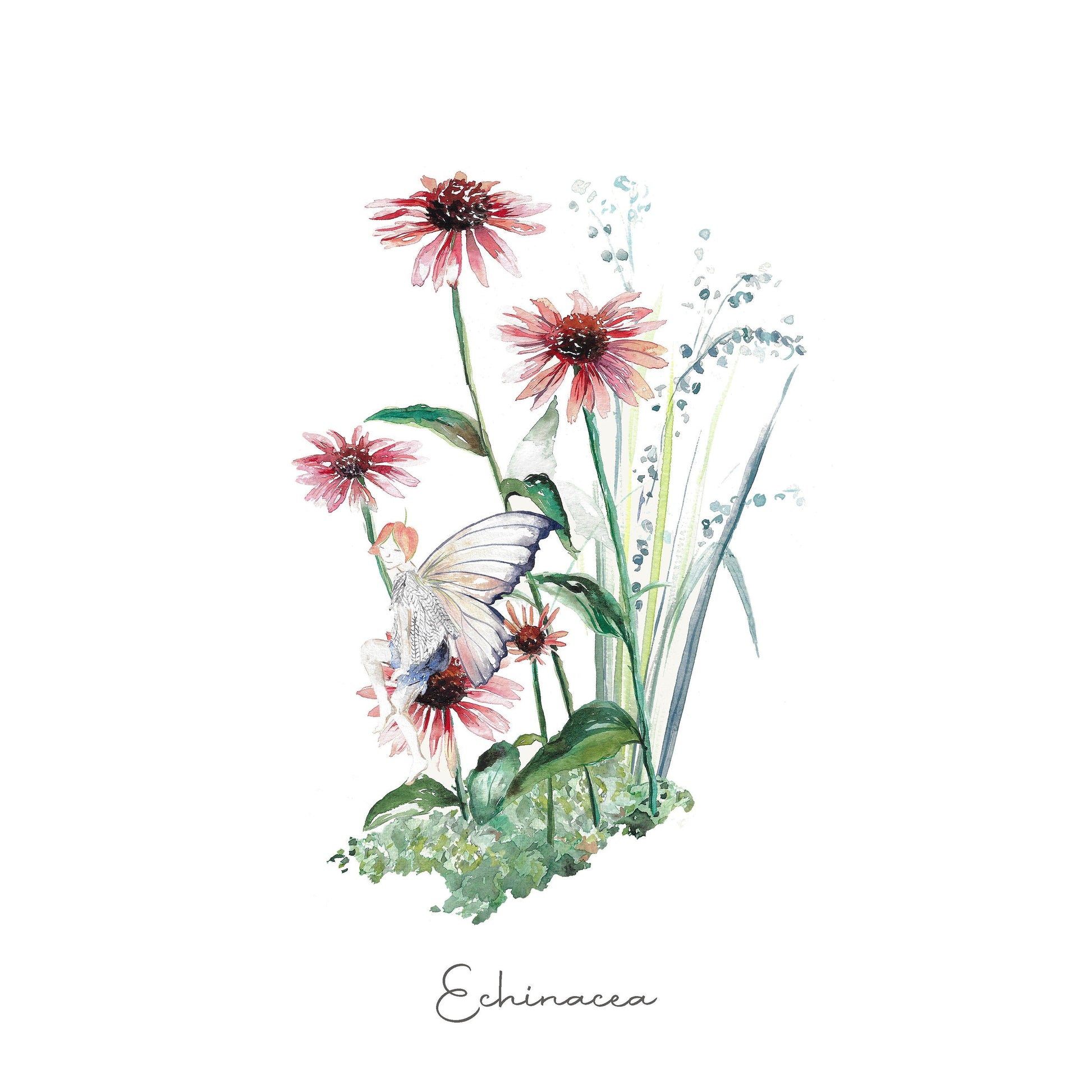 Echinacea Fairy Fine Art Print