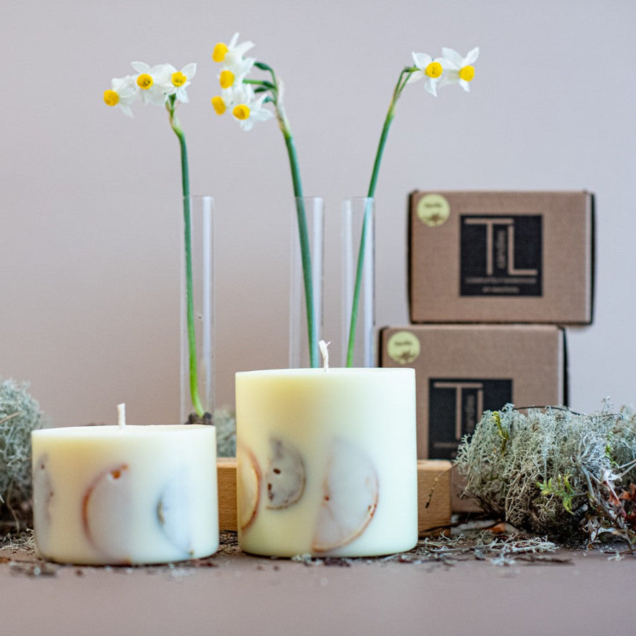 Handmade Vanilla Scented Candle with Citrus Decor - Cozy & Natural Elegance from Latvia by TL Candles at www.brixbailey.com