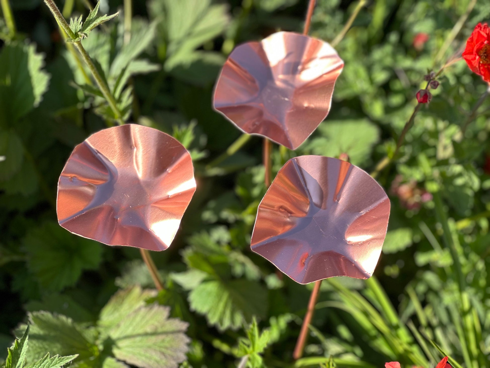 Set of 3 Copper Bee Drinkers
