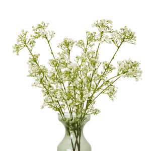 Cream gypsophila spray with lifelike blooms, 42-inch plastic stems for elegant home decor by Sostter at brixbailey.com