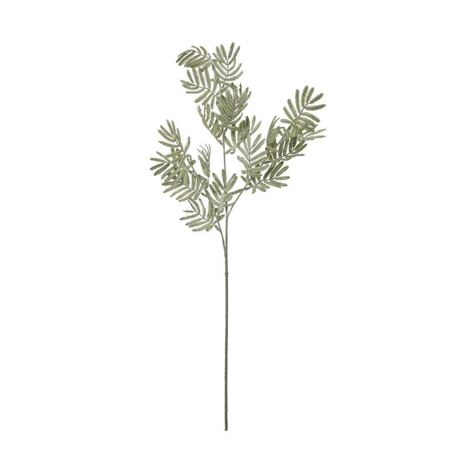 Lifelike artificial Silver Wattle Leaf stem with silvery-green hues, feathery texture, and realistic botanical details. by Sostter at brixbailey.com