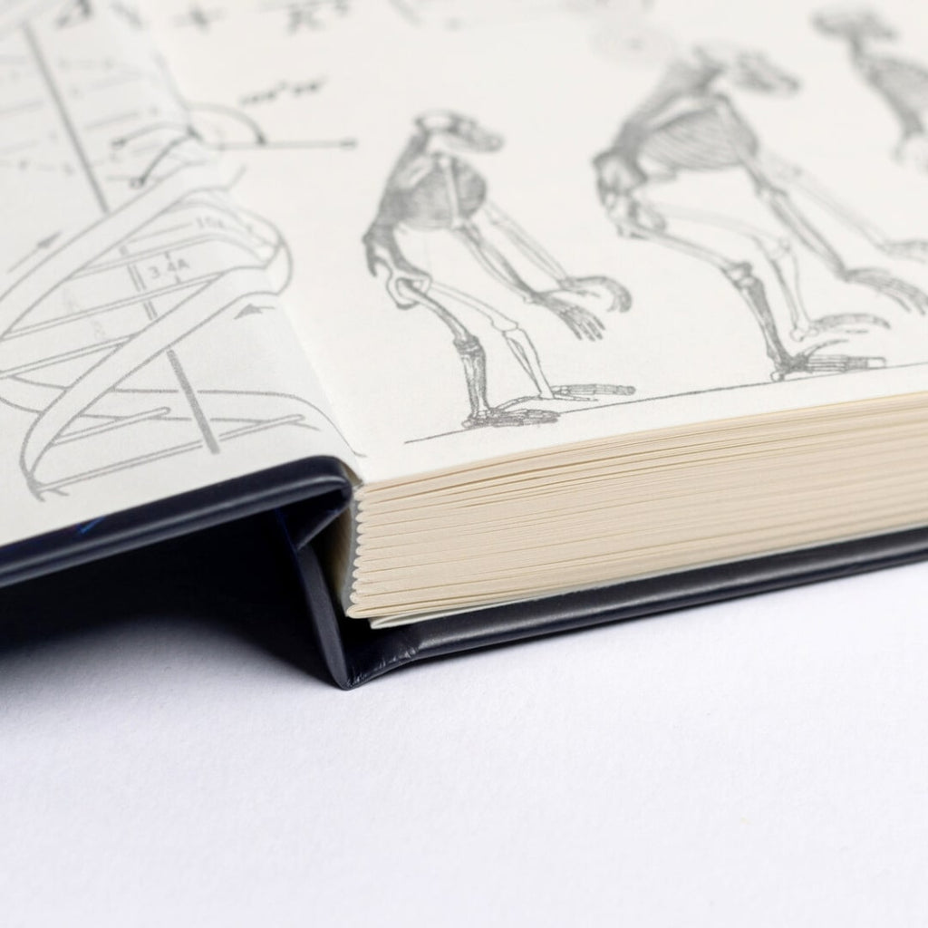 Undated Yearly Productivity Planner in Purple