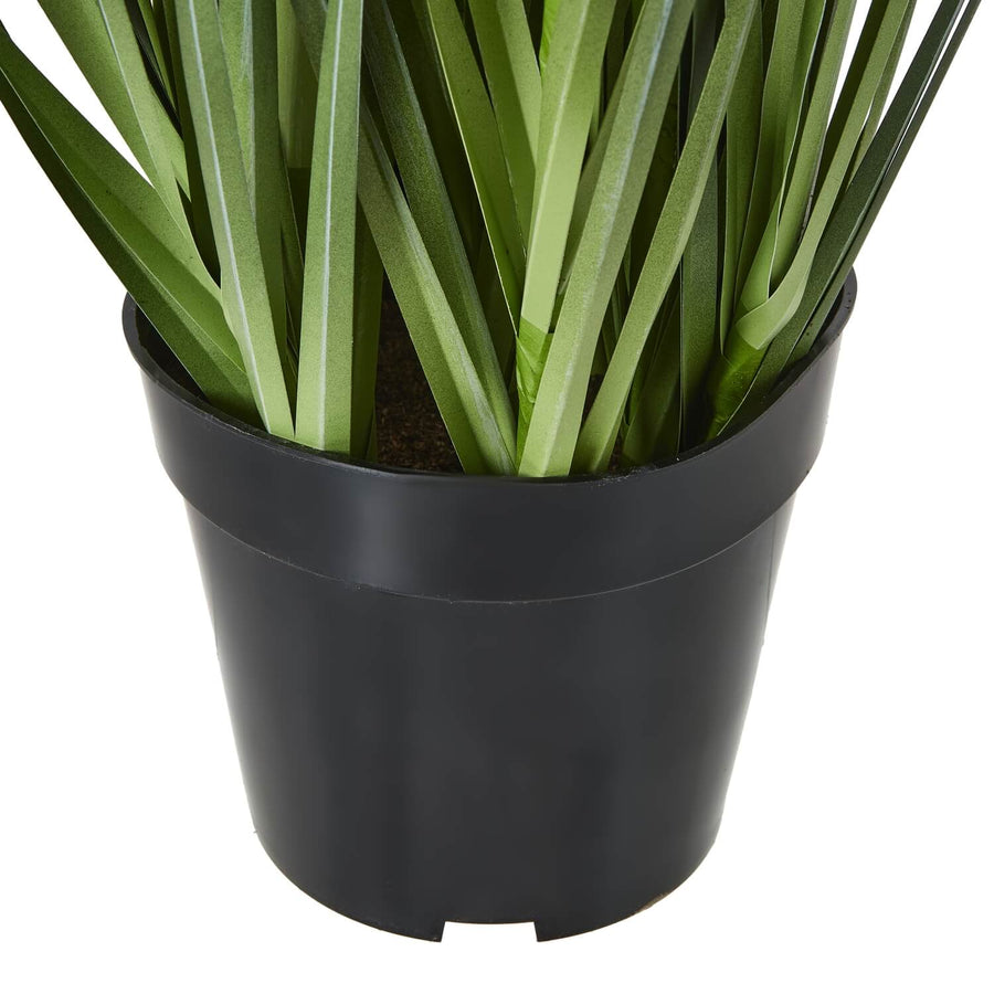 Lifelike purple agapanthus faux plant in pot with green foliage, perfect for home or office decor.by Sostter at brixbailey.com