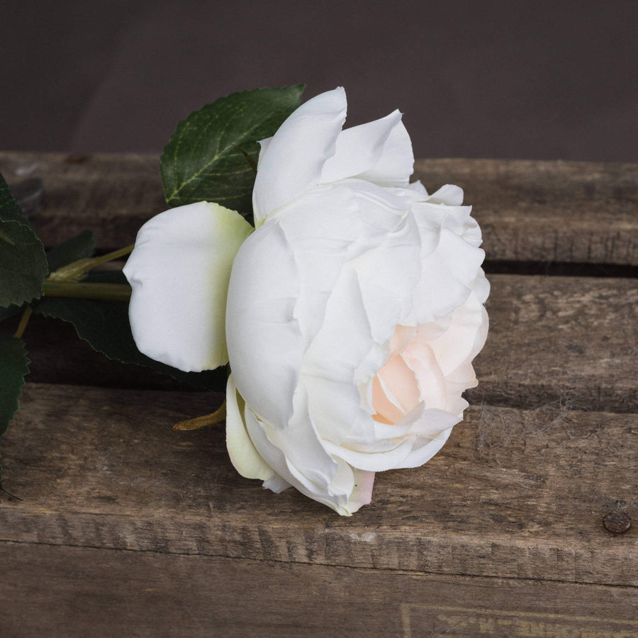 Lifelike white artificial Austin rose with blush center, realistic plastic petals and foliage, 25-inch stem for elegant decor by Sostter at brixbailey.com
