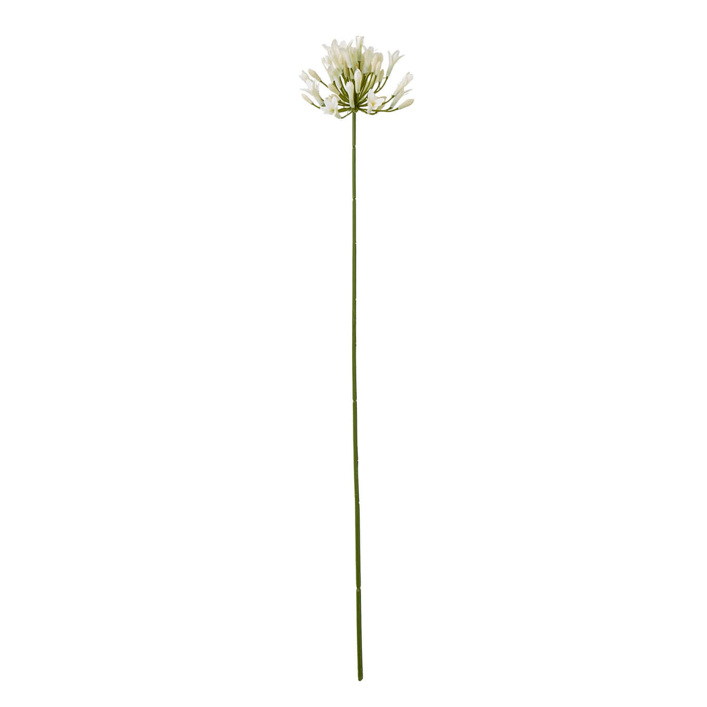 Cream agapanthus faux floral spray with lifelike blooms and green stem, 75cm tall, for elegant home decor by Sostter at brixbailey.com