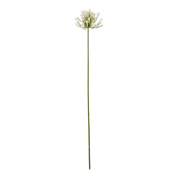 Cream agapanthus faux floral spray with lifelike blooms and green stem, 75cm tall, for elegant home decor by Sostter at brixbailey.com