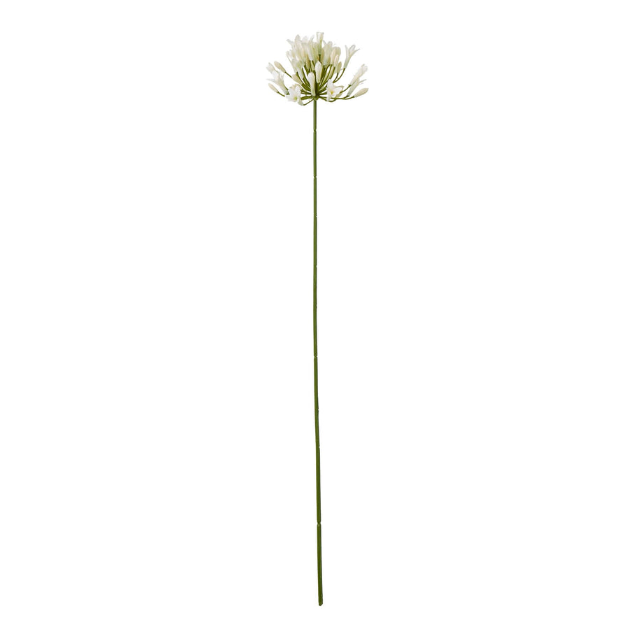 Cream agapanthus faux floral spray with lifelike blooms and green stem, 75cm tall, for elegant home decor by Sostter at brixbailey.com