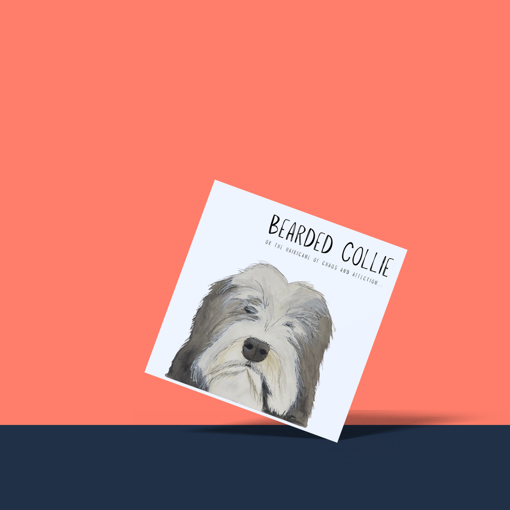Hairy Wishes & Tailspins: Bearded Collie Greeting Card