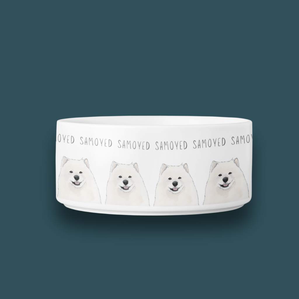 Bowl of Fluff: The Samoyed Dining Experience