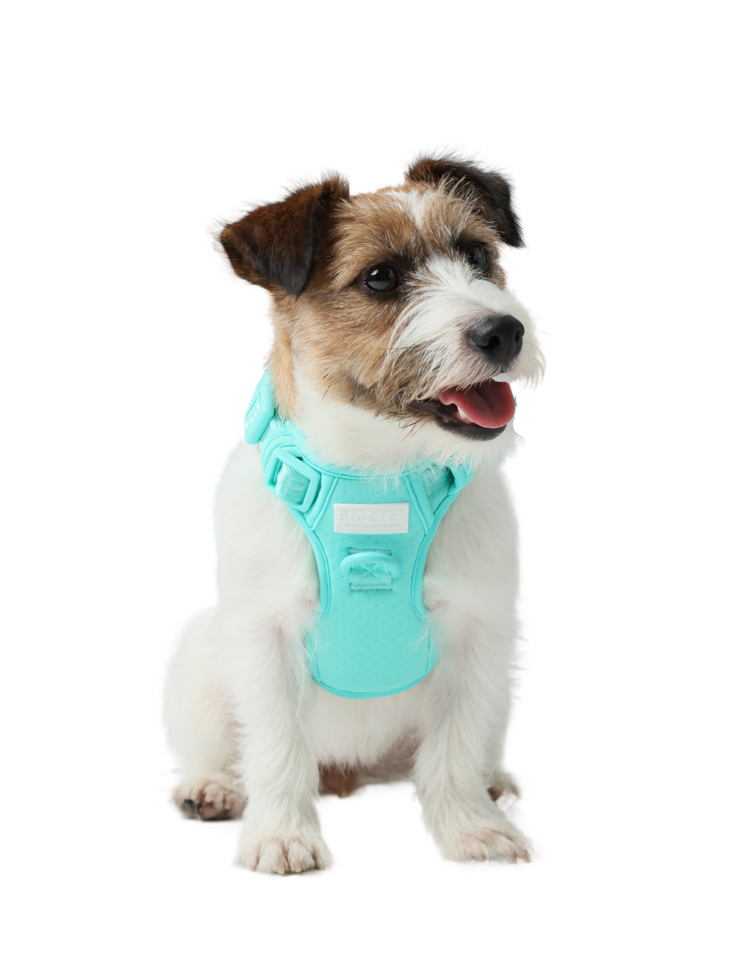 No Pull Active Pet Harness in Mint Green