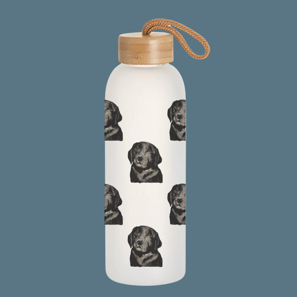Stay Pawsitively Hydrated – Om Nom Nomnivore Glass Bottle