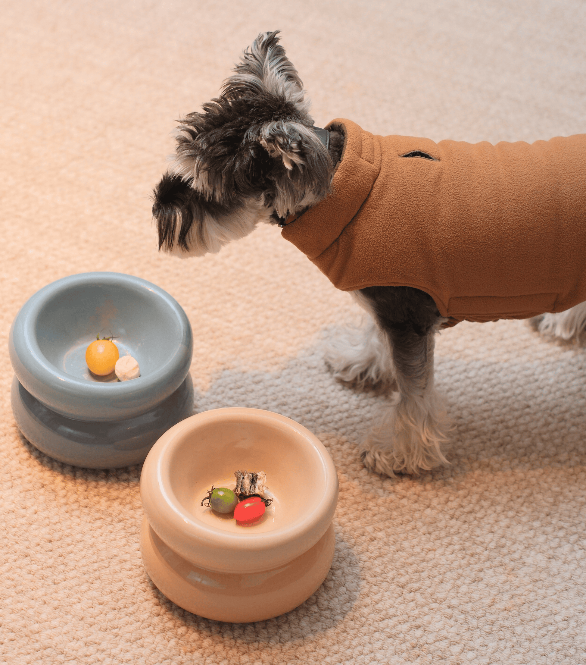 Soufflé Pet Bowl Cream Beige