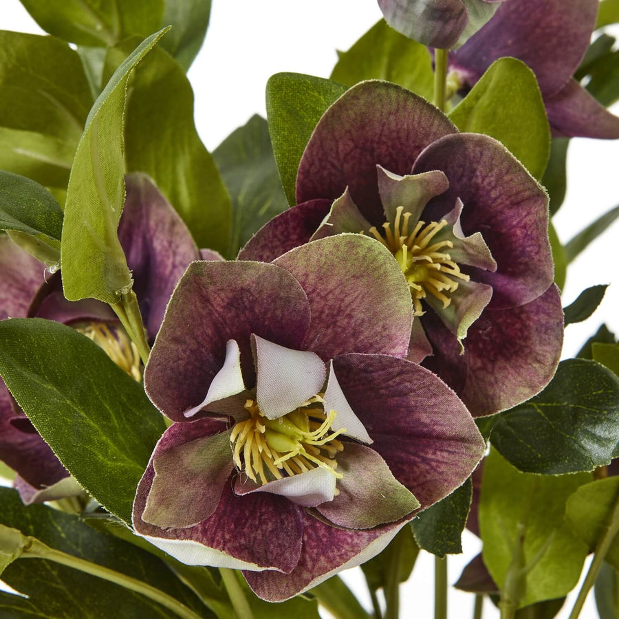 Lifelike plum faux hellebore in taupe ceramic pot, ultra-realistic blooms and foliage for home decor by Sostter at brixbailey.com