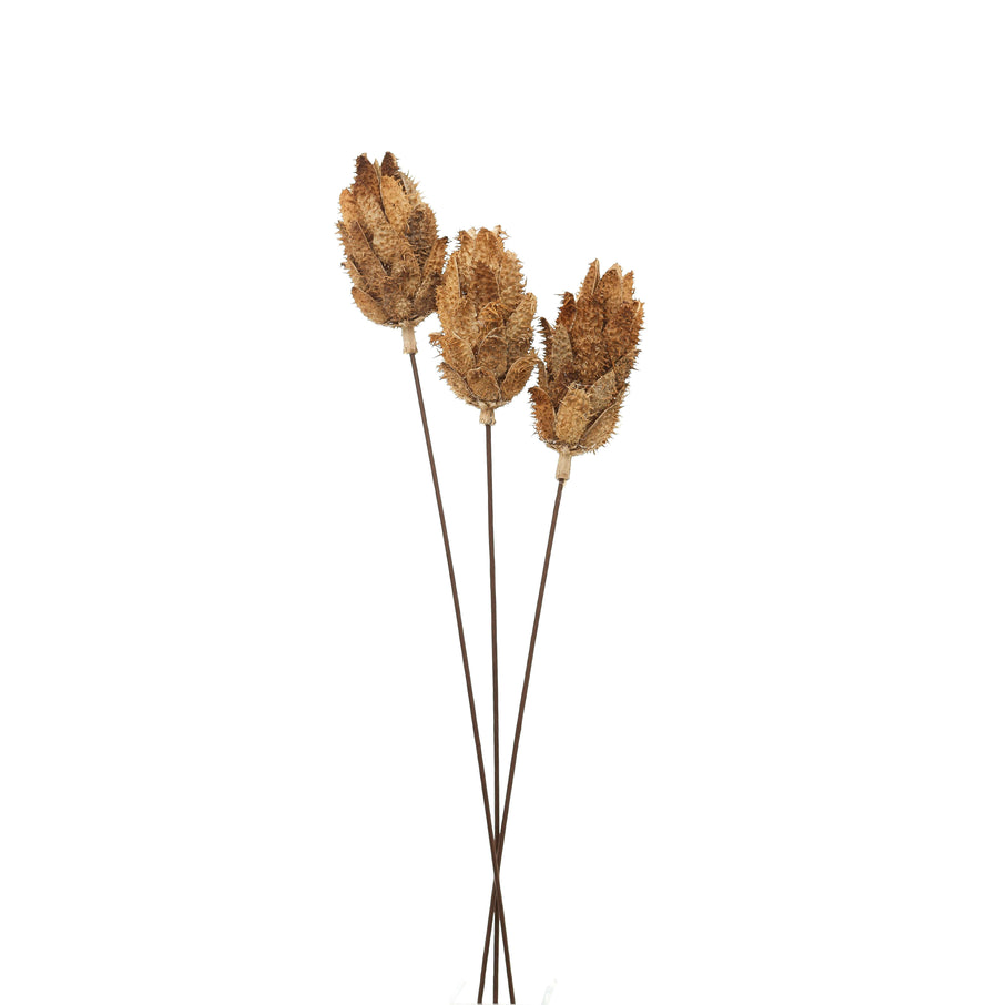 Dried Protea bouquet in earthy tones, hand-selected preserved blooms for elegant home decor centerpiece. by Sostter at brixbailey.com