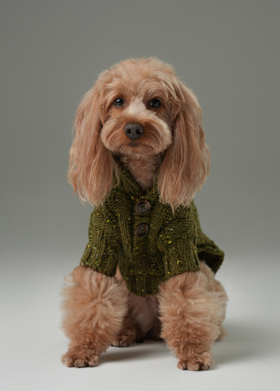 Glacier Pet Sweater Olive Green
