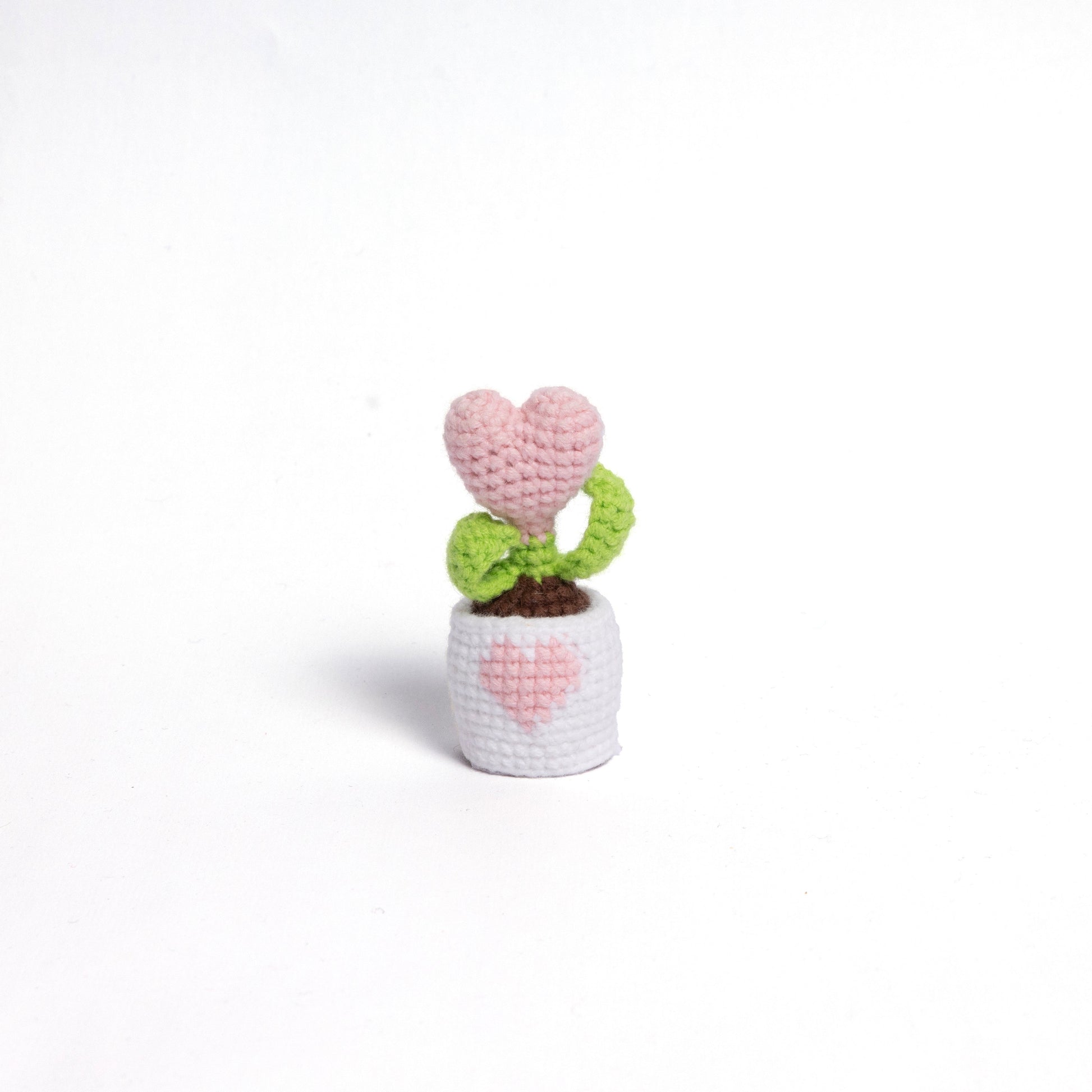 NEW members join Cactus Family!