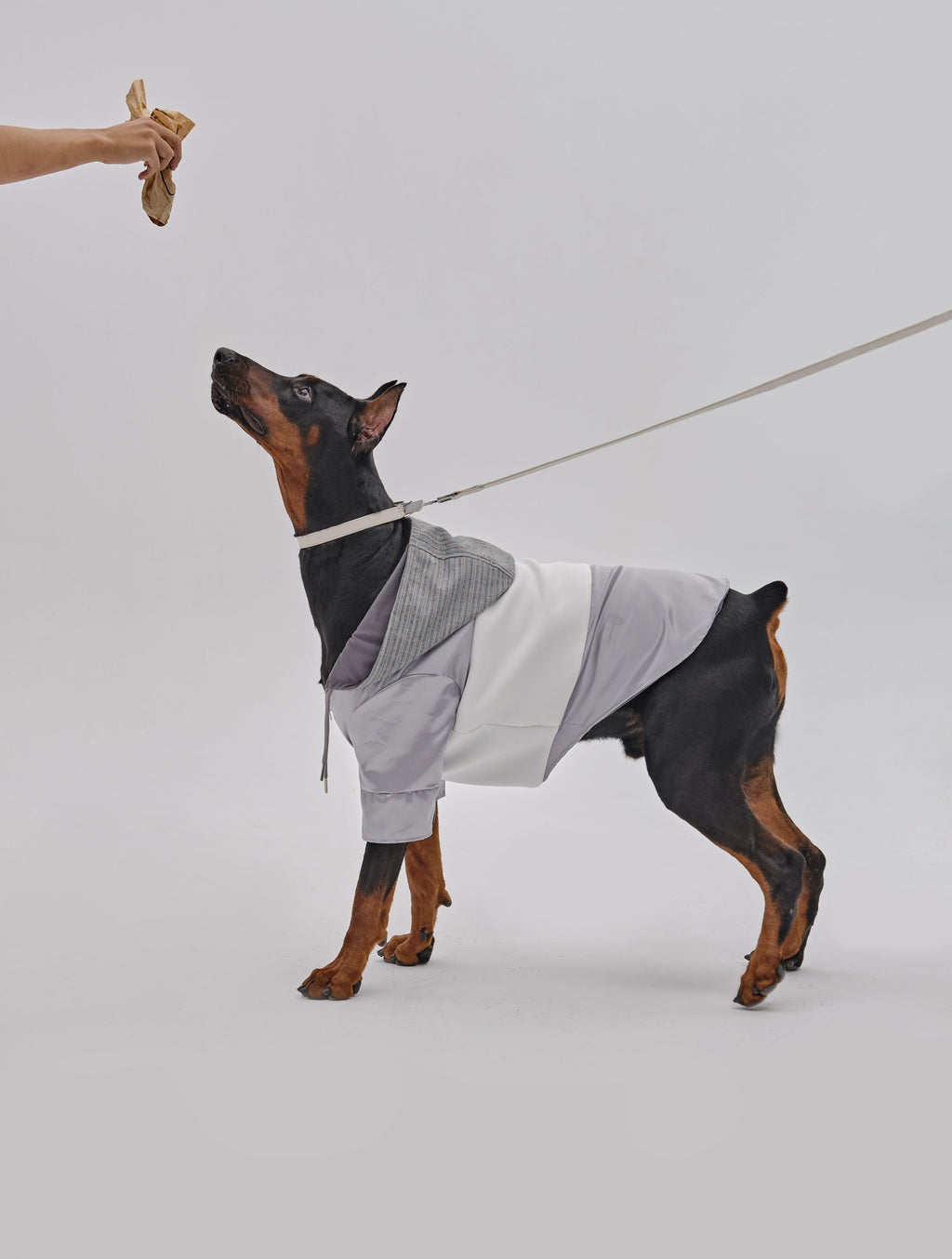 Calfskin Shoulder Bag with Leash and Collar Set