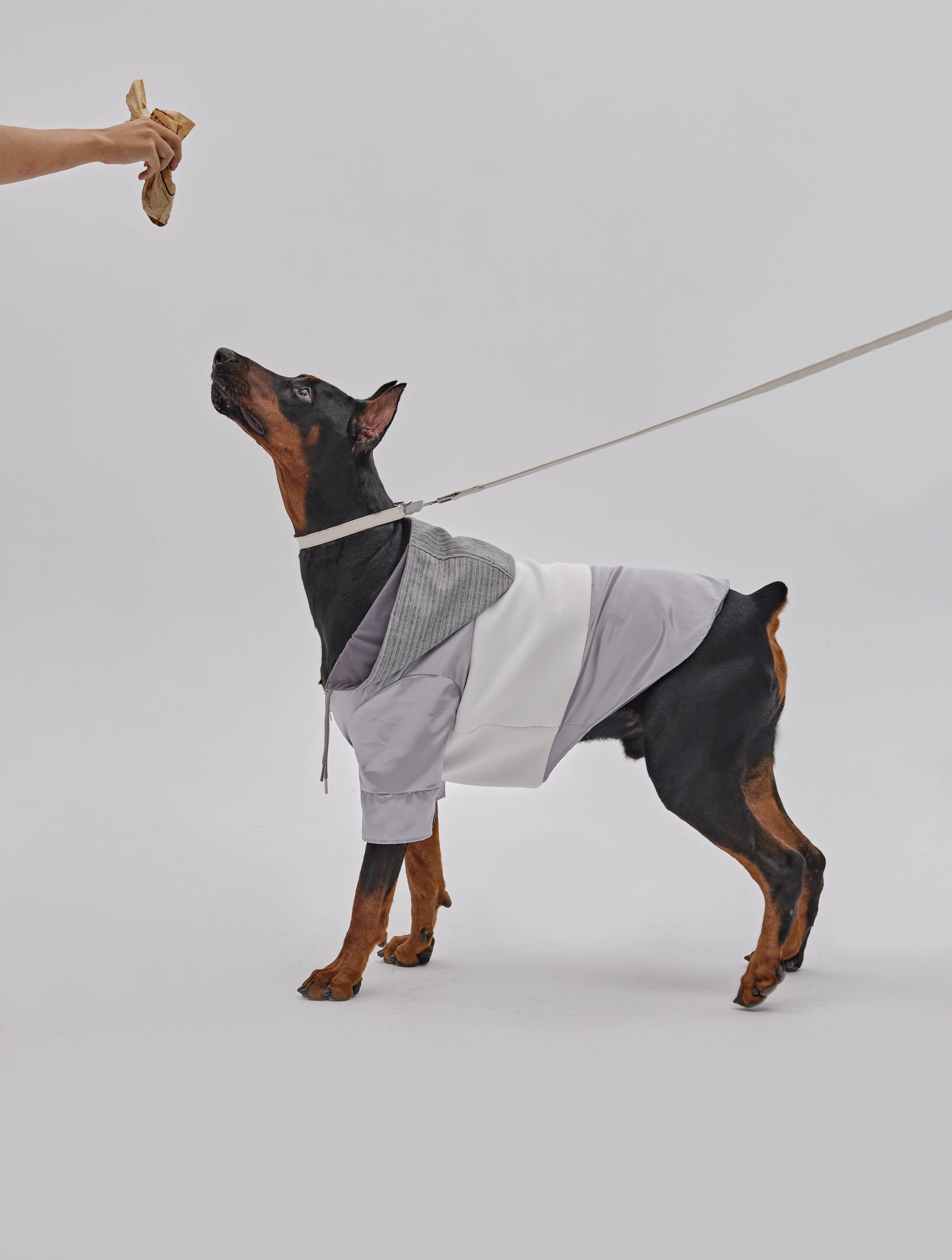 Calfskin Shoulder Bag with Leash and Collar Set