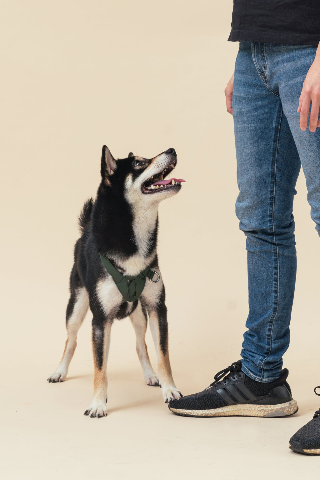 Pressure Release Harness in Green