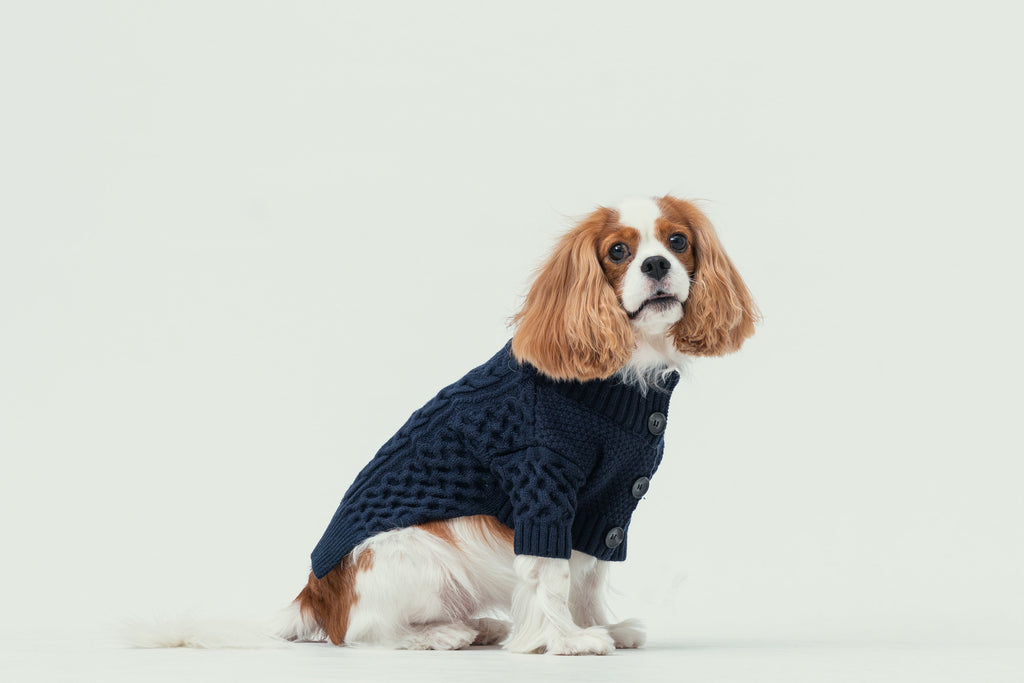 Bert Cardigan Sweater in Dark Blue