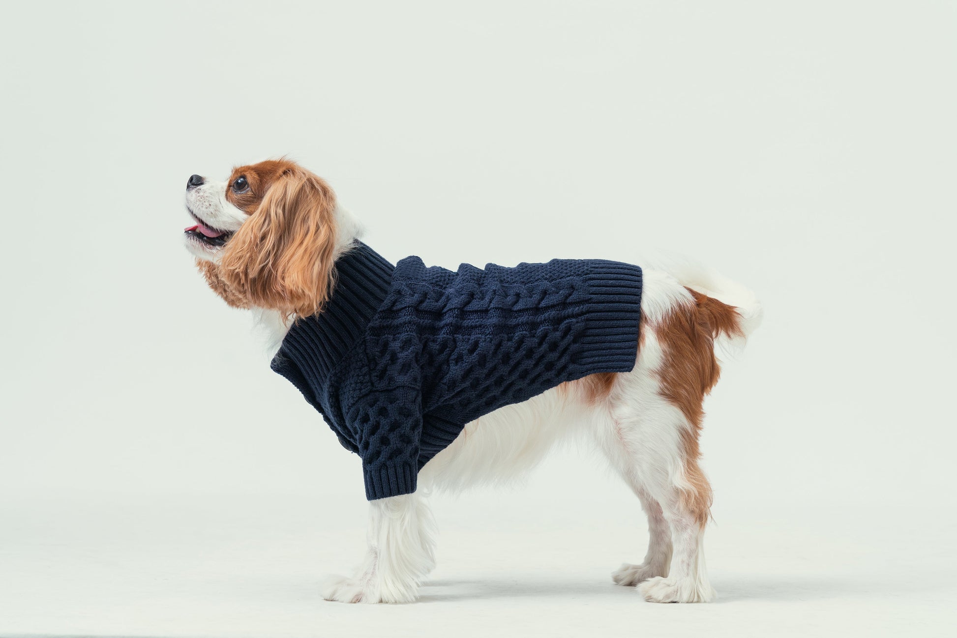 Bert Cardigan Sweater in Dark Blue