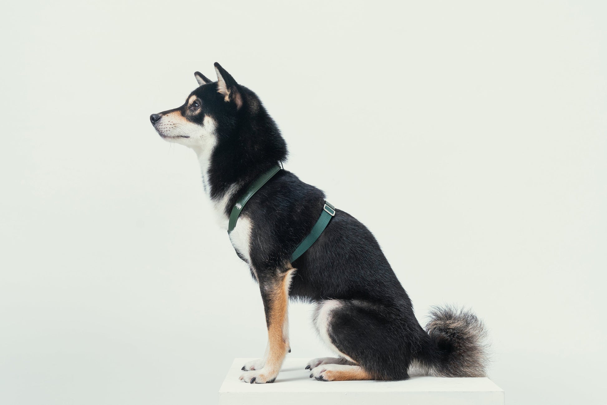 Pressure Release Harness in Green