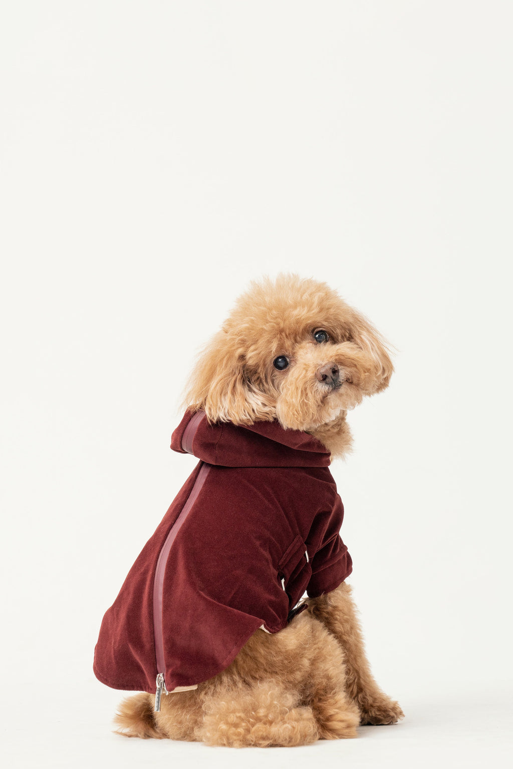 Huston Hoodie in Dark Burgundy