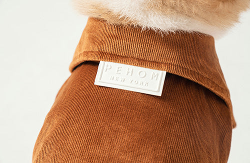 Stainway Shirt in Orange