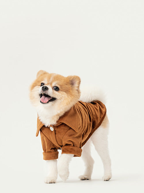 Stainway Shirt in Orange