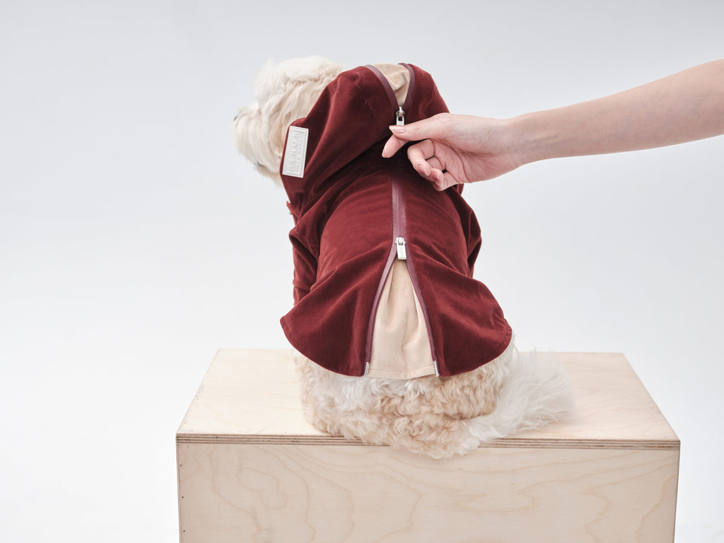 Huston Hoodie in Dark Burgundy