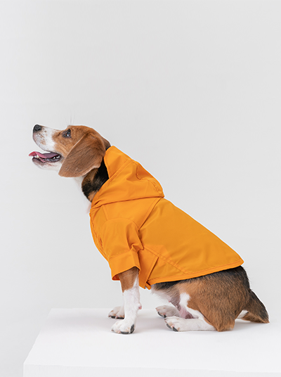Tribeca Adjustable Velcro Raincoat for Dogs in Egg Yolk