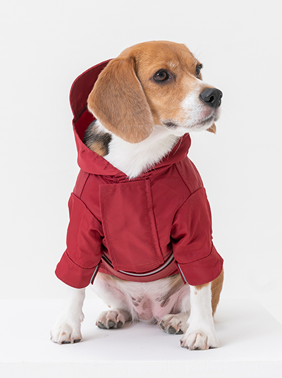 Tribeca Adjustable Velcro Raincoat in Burgundy
