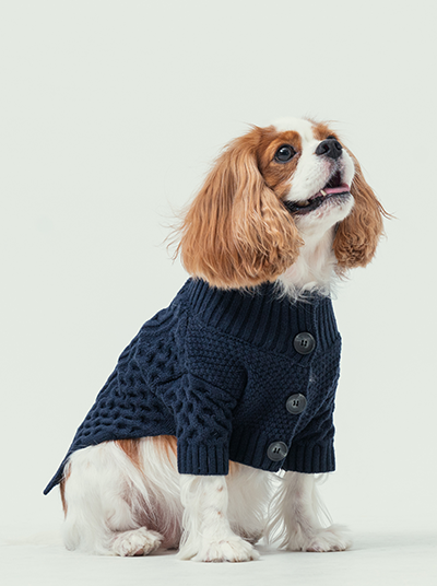 Bert Cardigan Sweater in Dark Blue