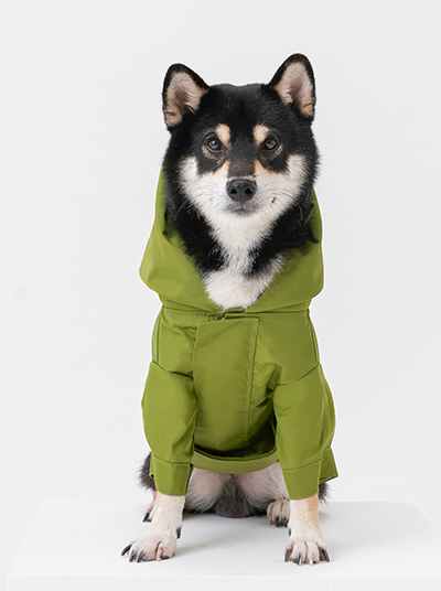 Tribeca Adjustable Velcro Raincoat for Dogs in Olive