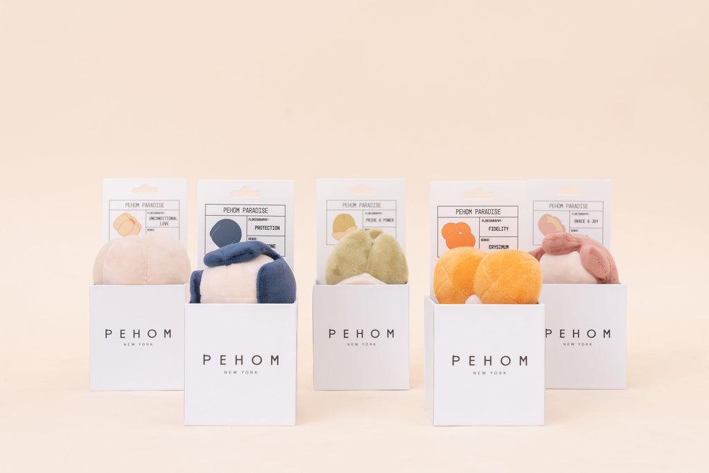 Paradise Anemone Pet Toy with Squeaker