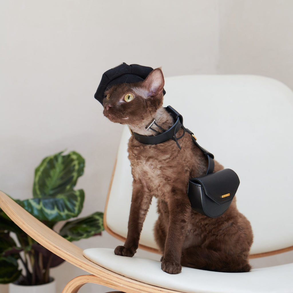 Puppy Pouch Harness