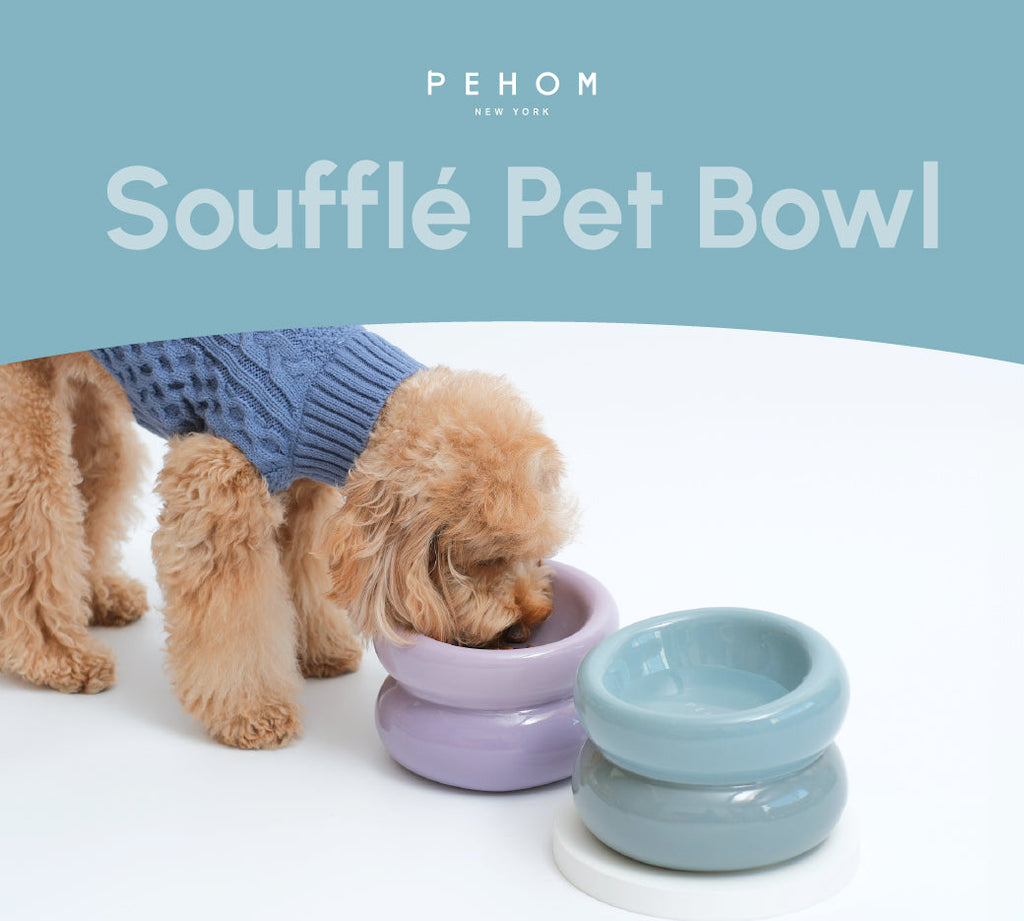 Souffle Pet Bowl in Frozen Blue