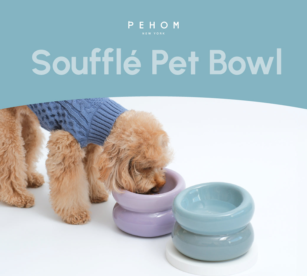 Souffle Pet Bowl in Frozen Blue
