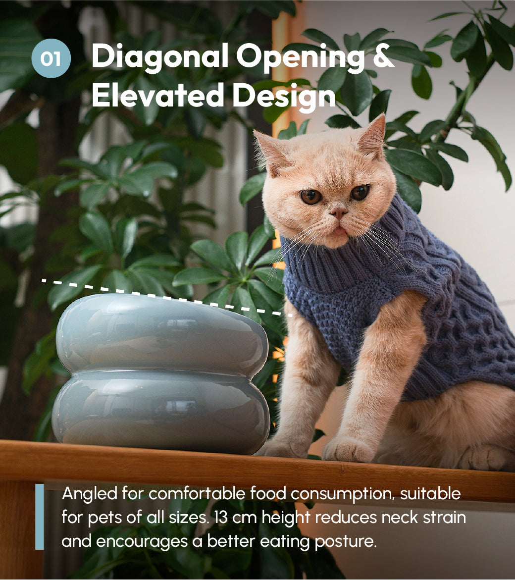 Souffle Pet Bowl in Frozen Blue