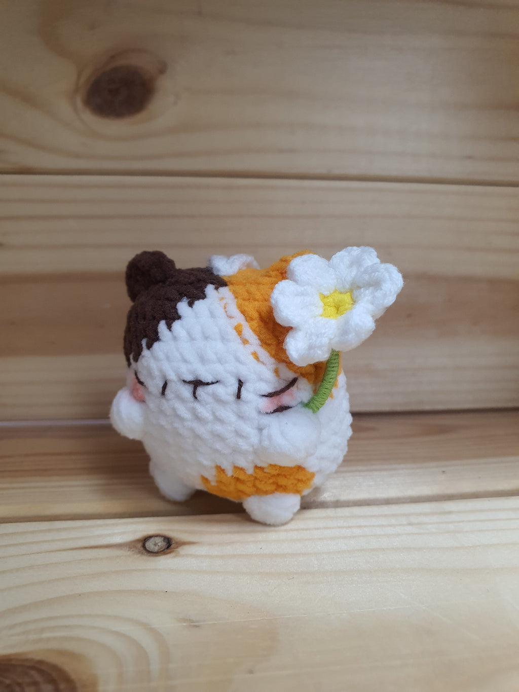 Little Square Cute Kitten Collection