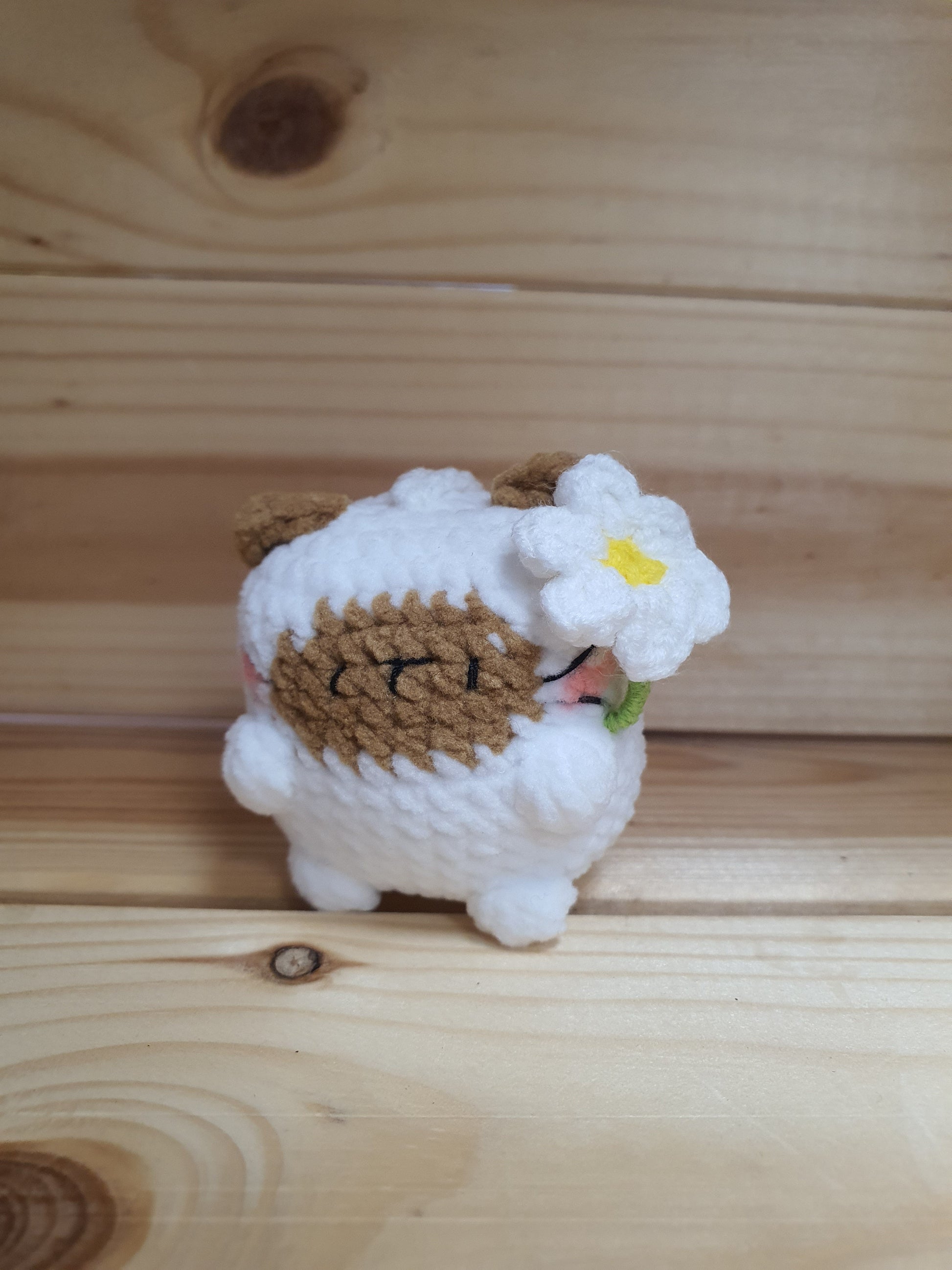 Little Square Cute Kitten Collection