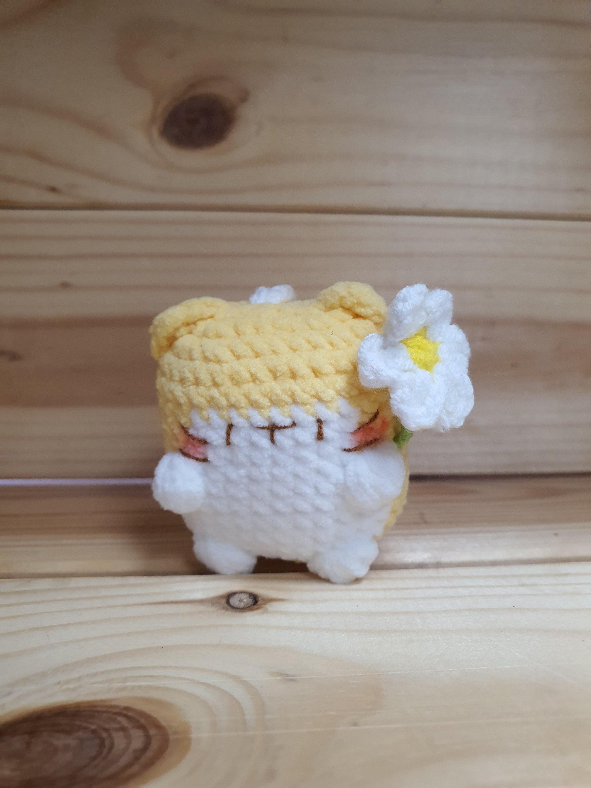 Little Square Cute Kitten Collection