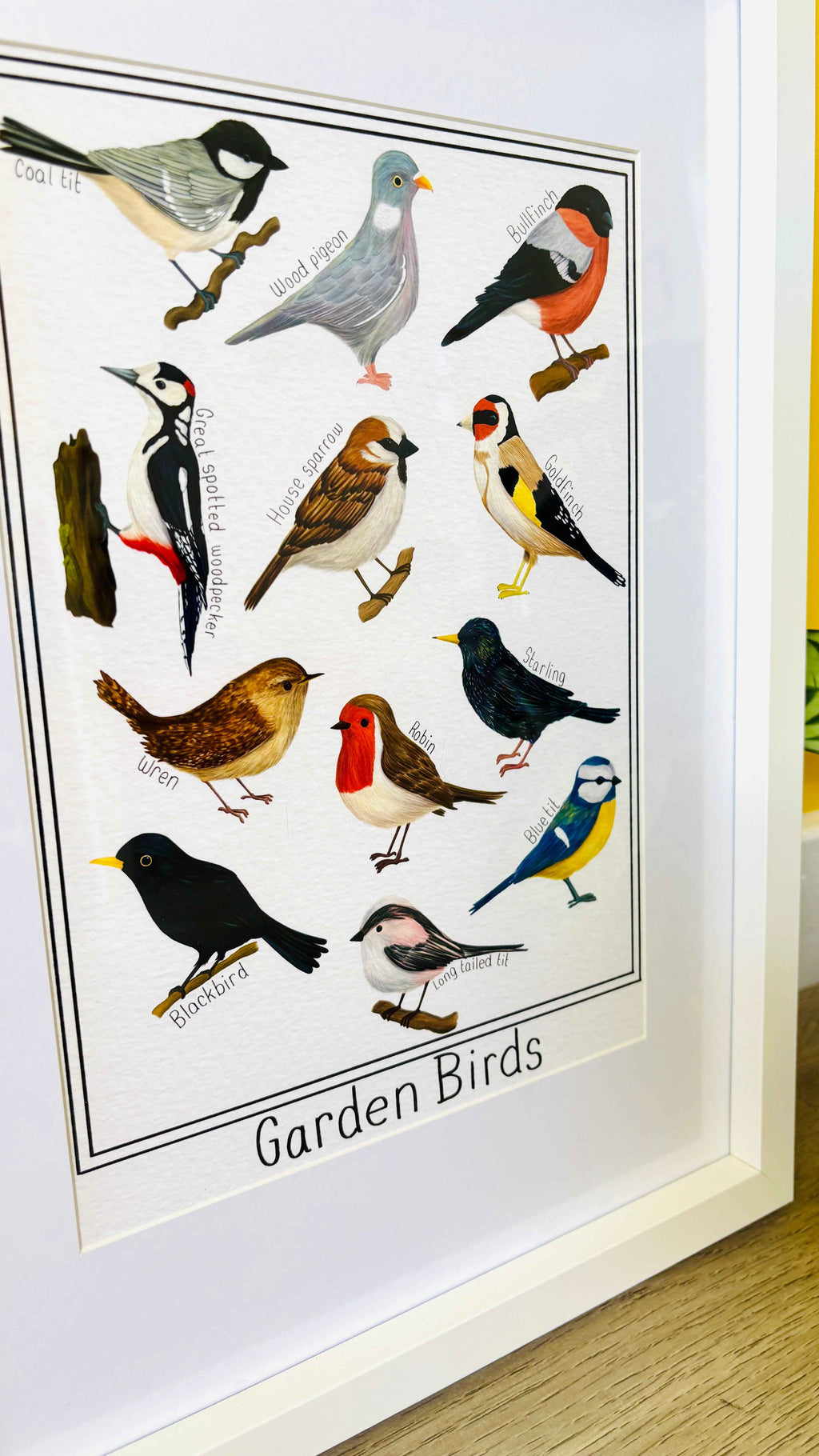 Garden British Birds Art Print-: Multiple Sizes available