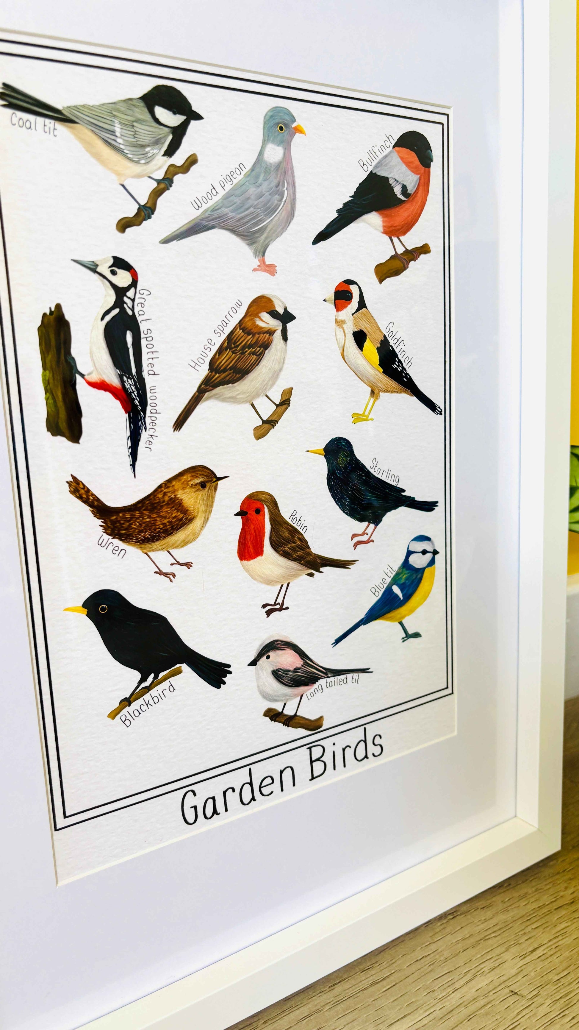 Garden British Birds Art Print-: Multiple Sizes available