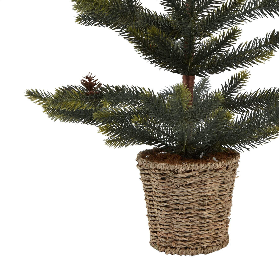 Handcrafted spruce tree arrangement in natural green tones with wicker basket, rustic modern decor for year-round display. by Sostter at brixbailey.com