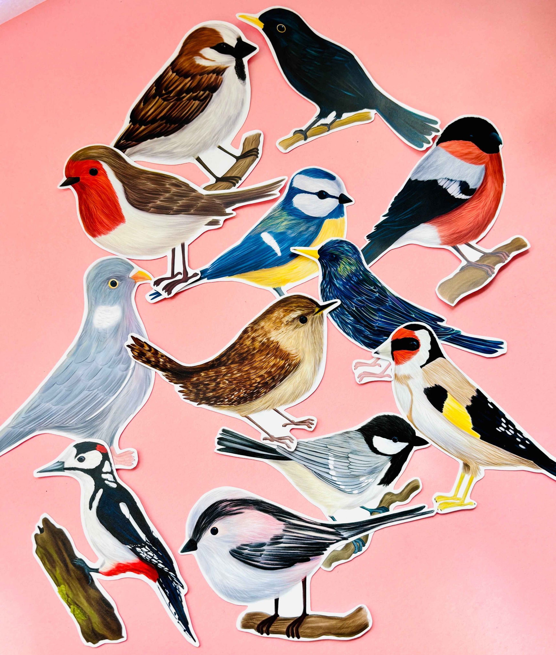Garden Birds 10cm Vinyl Stickers: Nature Inspired Waterproof Decals