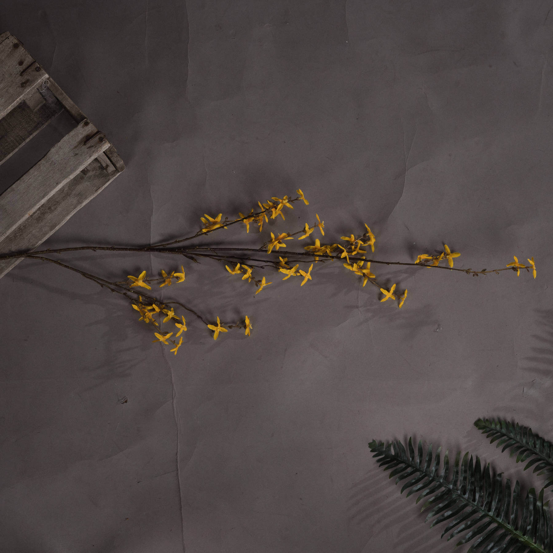 Lifelike artificial Forsythia branch with vibrant yellow petals, hyper-realistic plastic stems, 108cm tall by Sostter at brixbailey.com