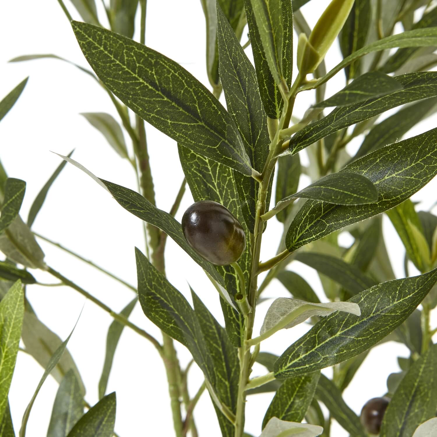 150cm lifelike Apulia olive tree with silvery-green leaves, gnarled trunk, and white planter for Mediterranean decor by Sostter at brixbailey.com