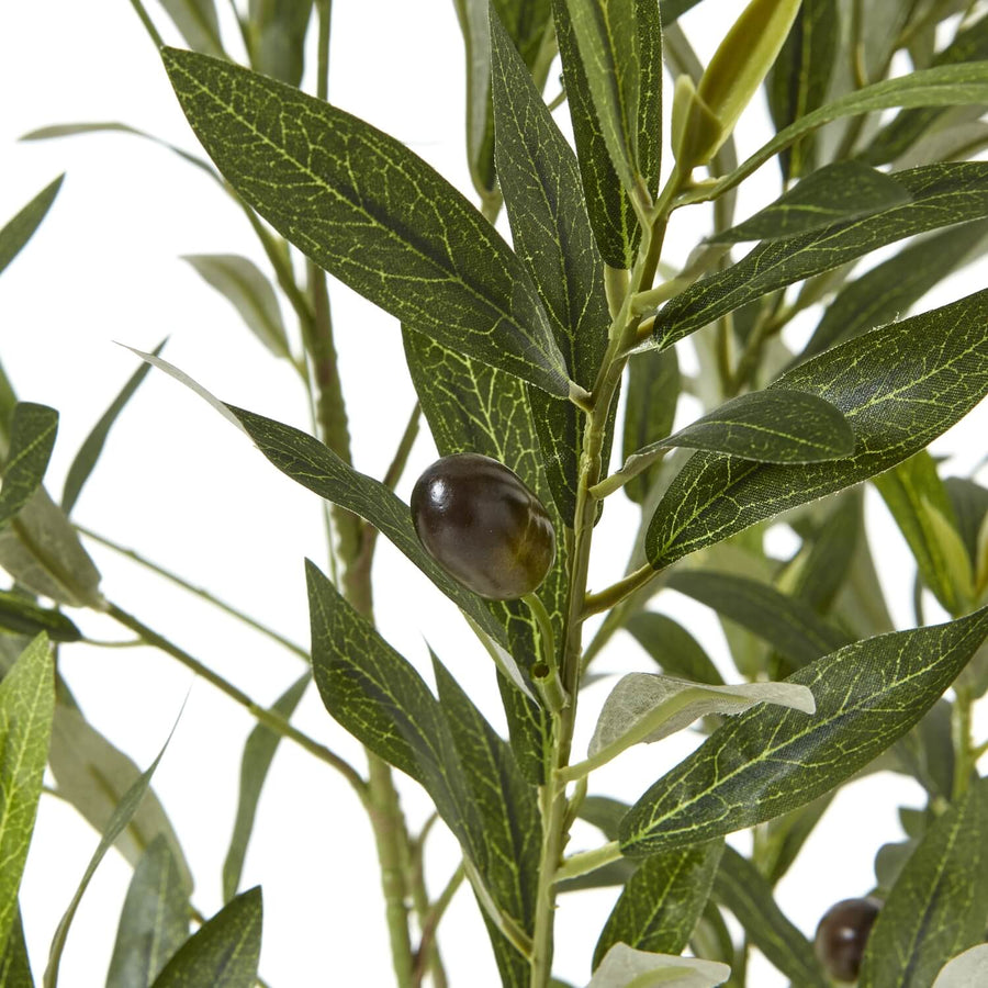 150cm lifelike Apulia olive tree with silvery-green leaves, gnarled trunk, and white planter for Mediterranean decor by Sostter at brixbailey.com